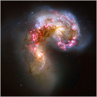 Galaxias antena
