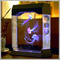 Acuario para medusas