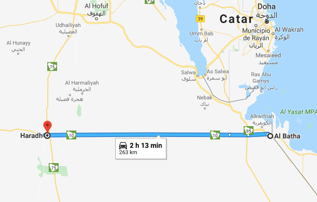 Carretera-larga-de-narices-arabia-saudi