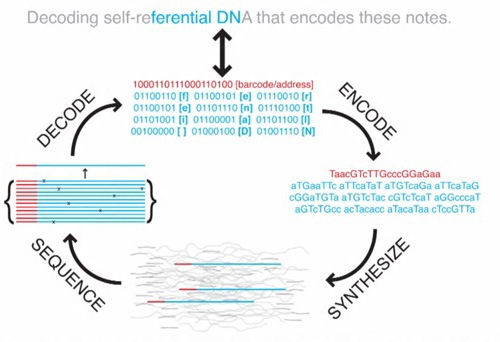 coding-decoding-dna-storage.jpg