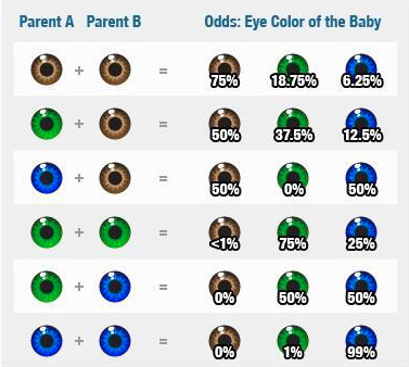 Como hacer para que mi bebe tenga ojos de color