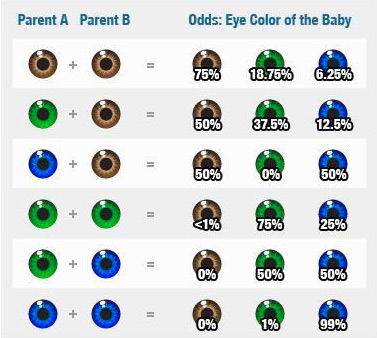 color-de-ojos.jpg