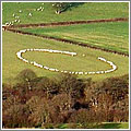 “Crop circles” en la campiña