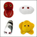 Entrañables cabroncetes de peluche Entrañables cabroncetes de peluche