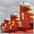Celebración del 25 aniversario de la Patrulla Águila