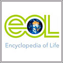 Encyclopedia of Life, la biodiversidad del planeta en línea Encyclopedia of Life, la biodiversidad del planeta en línea