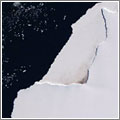 Científicos localizan pingüinos vía satélite… gracias a su caca Científicos localizan pingüinos vía satélite… gracias a su caca