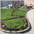 Primeras acciones de jardinería de guerrilla en España Primeras acciones de jardinería de guerrilla en España