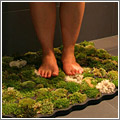 Alfombrilla de baño viviente Alfombrilla de baño viviente