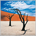 Amazing Planet Amazing Planet