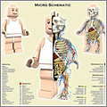 Anatomía de una figura de LEGO