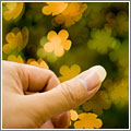 Bokeh con formas personalizadas Bokeh con formas personalizadas