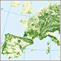 Bosques de Europa Bosques de Europa