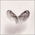 Chema Madoz. Ocurrencias y regalos (para la vista) Chema Madoz. Ocurrencias y regalos (para la vista)