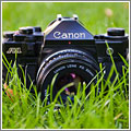 El fotógrafo ecológico El fotógrafo ecológico