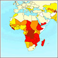 Cumbre de la FAO para combatir la crisis de los alimentos Cumbre de la FAO para combatir la crisis de los alimentos