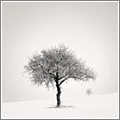 Fotografía de Ebru Sidar Fotografía de Ebru Sidar