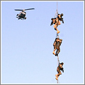 Algunas imágenes del Día de las Fuerzas Armadas 2009