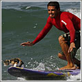 El gato surfero El gato surfero
