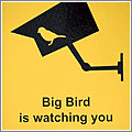 El Gran Pájaro te vigila
