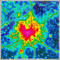 Mapa interactivo de la contaminación lumínica en España Mapa interactivo de la contaminación lumínica en España