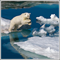 Obsesión polar, de Paul Nicklen Obsesión polar, de Paul Nicklen