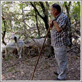 ¿Hidroaviones o cabras? ¿Hidroaviones o cabras?