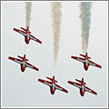 Snowbirds: los acróbatas canadienses