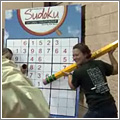 Maestros del Sudoku Maestros del Sudoku