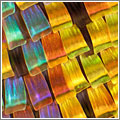 MicroscopyU: el mundo en pequeño MicroscopyU: el mundo en pequeño