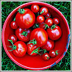 Foto:  Tomato in a Square (CC) Jacki-dee