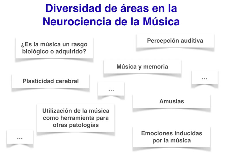 Áreas en la neurociencia de la música