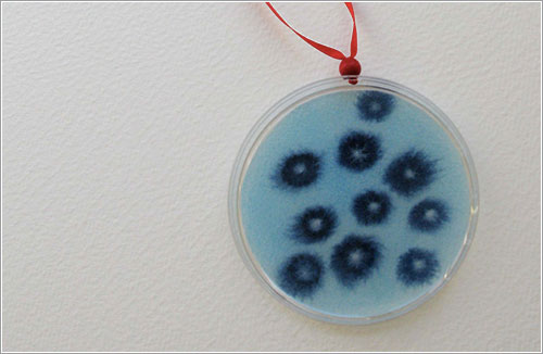 Virus azules por Michele Banks