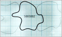 Una multiplicación vista por Daniel Tammet