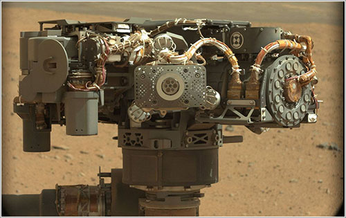 Autorretrato de Curiosity