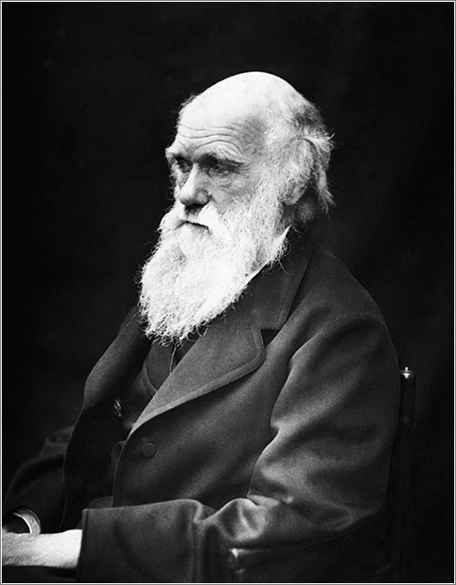 Charles Darwin por J. M. Cameron