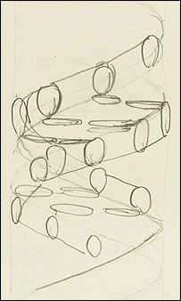 Dibujo-DNA-Crick.jpg