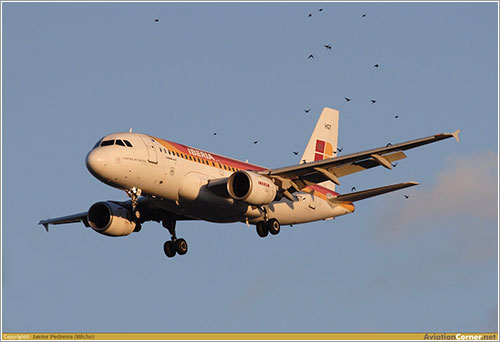 EC-HGT aterrizando en Barajas