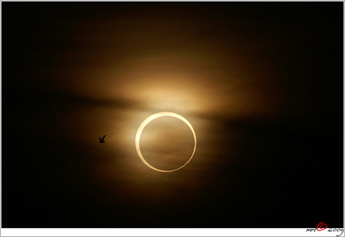 Solar-Eclipse-260109-004 por M. R. Taufik