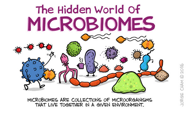 Hidden World of Microbiomes