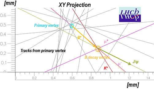 Representación de la detección - LHCb