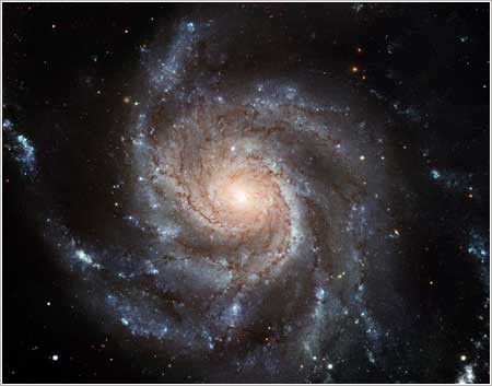 M101