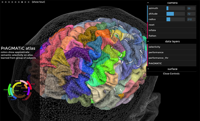 Mapa semántico del cerebro en línea