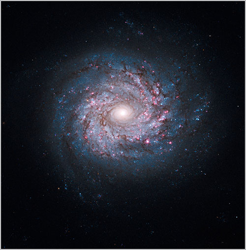 Face-on Spiral Galaxy NGC 3982 - NASA, ESA, and the Hubble Heritage Team (STScI/AURA) - A. Riess (STScI)