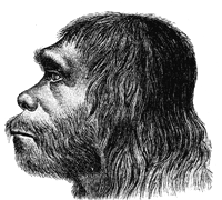 Neanderthaler Fund / Wikipedia Commons