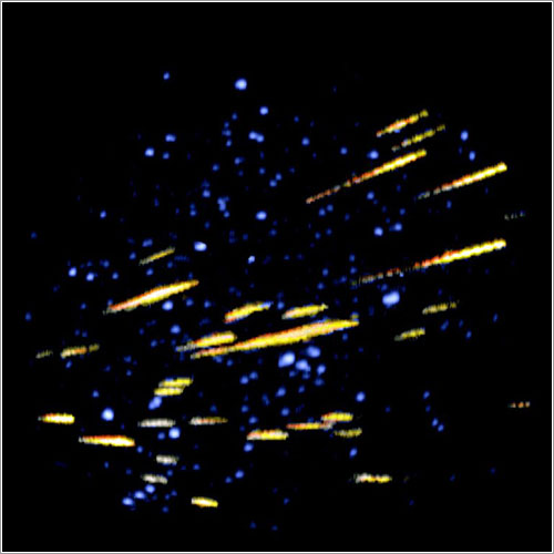 Las perseidas en 1995 - S. Molau and P. Jenniskens, NASA Ames Research Center