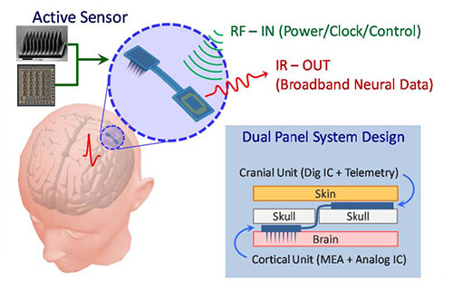 Sensor BrainGate