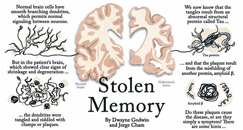 Stolen memory