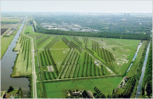 Las crestas anti ruido de Schiphol