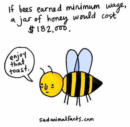 Abejas-Cobrases-Salario-Minimo